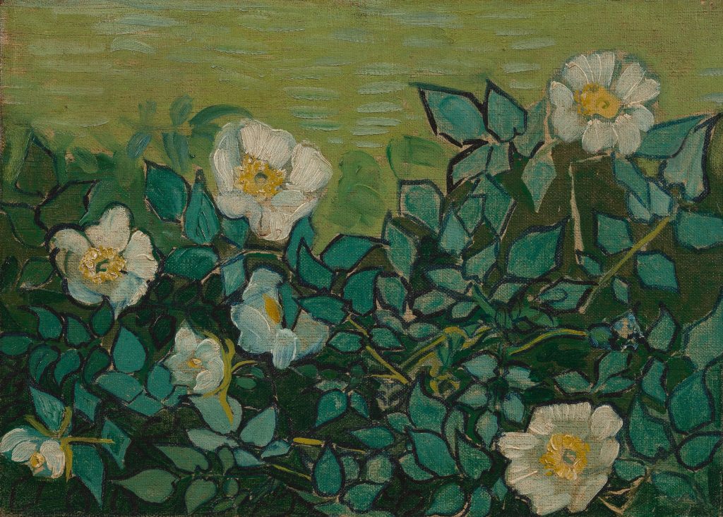 MỘT BỨC TRANH CỦA VAN GOGH