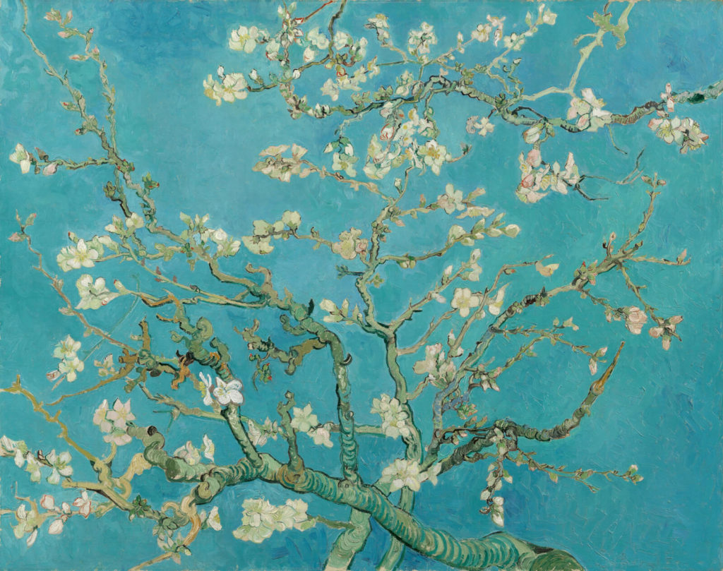 Câu chuyện kiệt tác: ‘Hoa hạnh đào’ của Vincent van Gogh